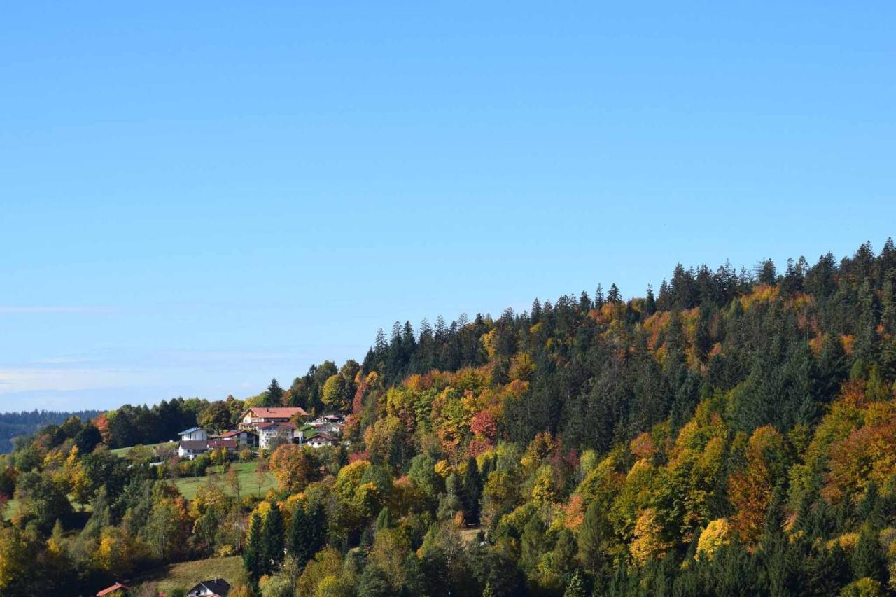 Ferienwohnungen Geiger Bodenmais Bagian luar foto