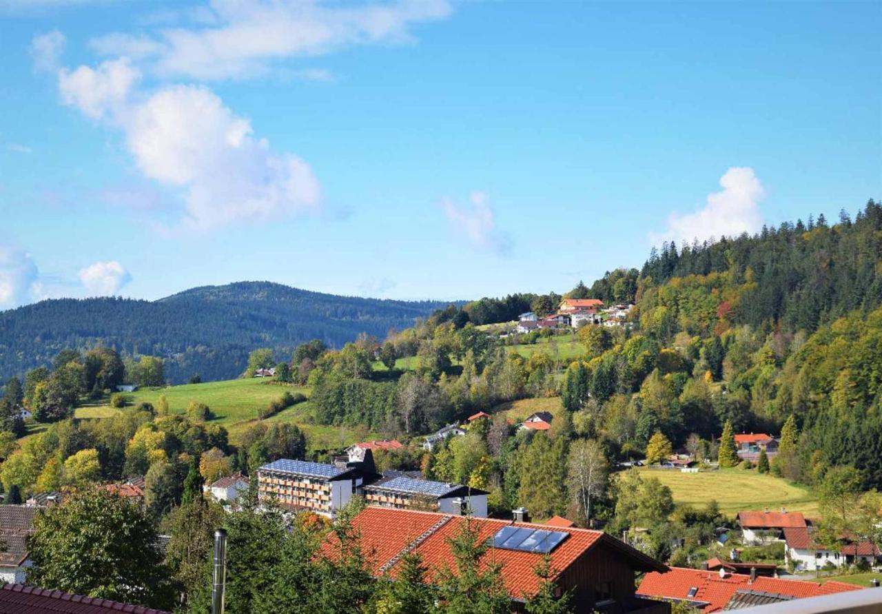 Ferienwohnungen Geiger Bodenmais Bagian luar foto